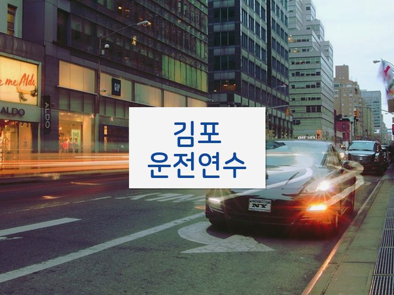 김포운전연수 후기