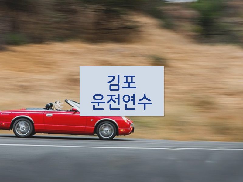 김포운전연수 후기
