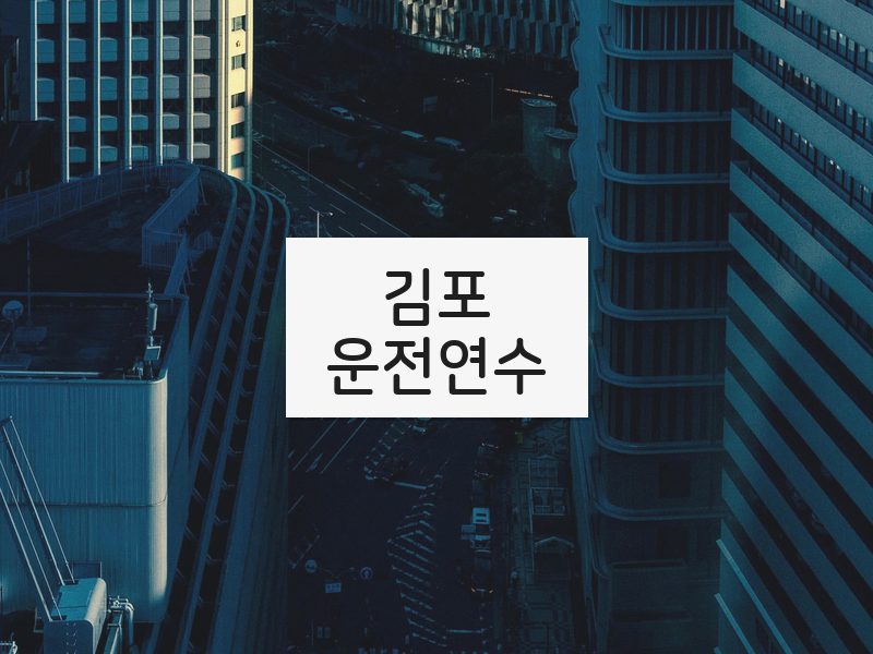 김포운전연수 후기