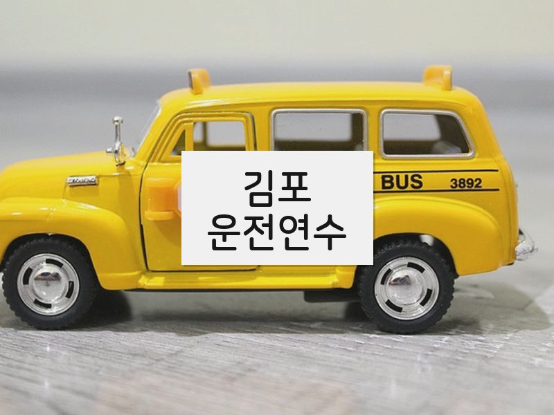 김포운전연수 후기