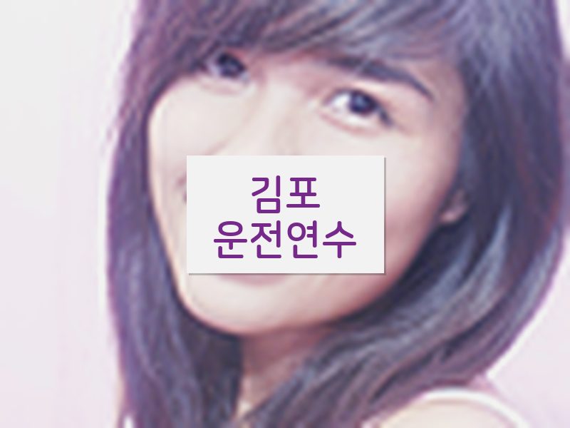 김포운전연수 후기