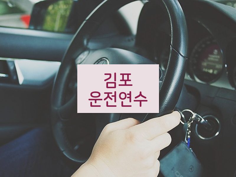 김포운전연수 후기