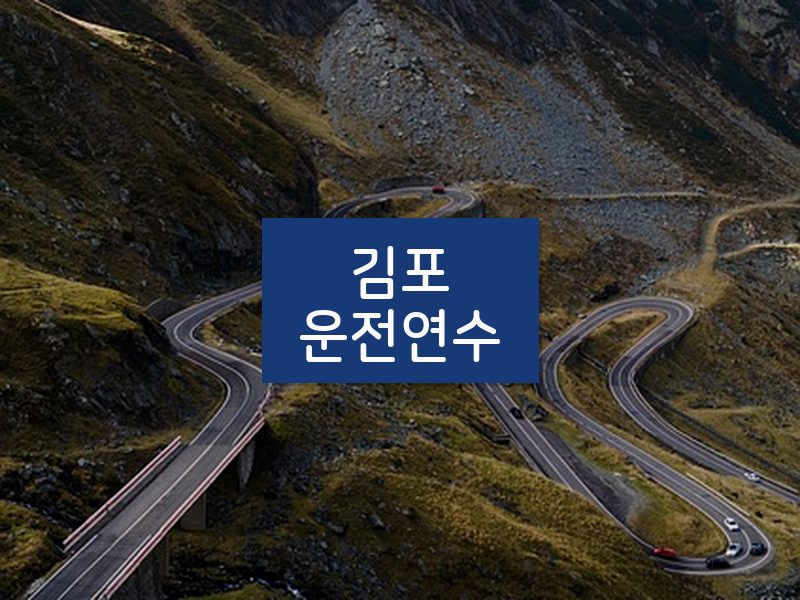 김포운전연수 후기