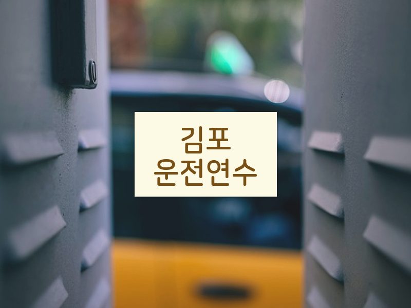 김포운전연수 후기