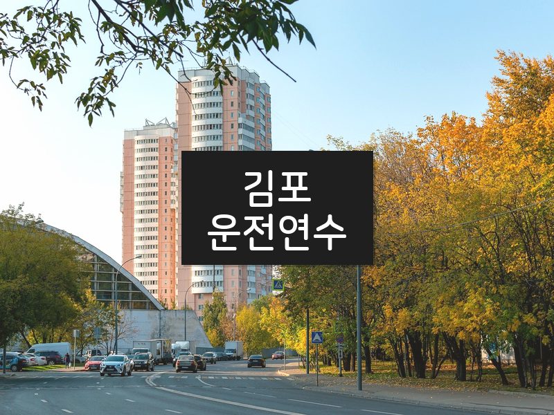 김포운전연수 후기