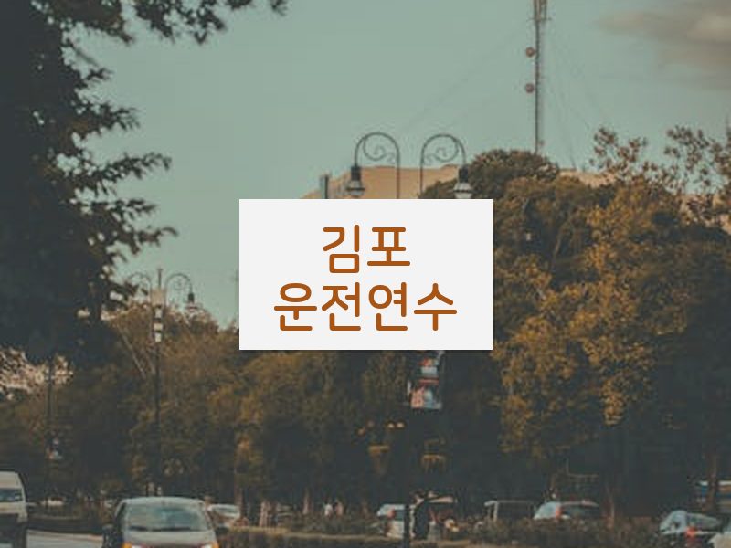 김포운전연수 후기