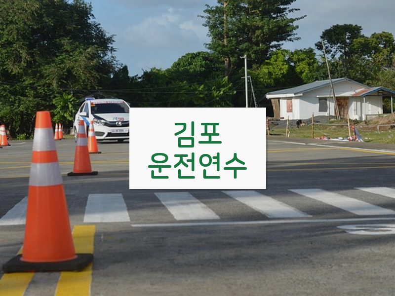 김포운전연수 후기