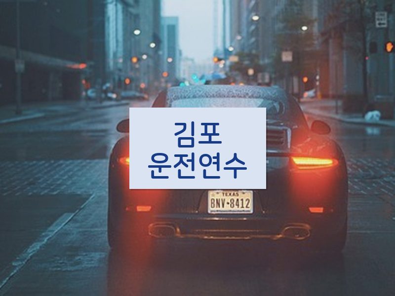 김포운전연수 후기