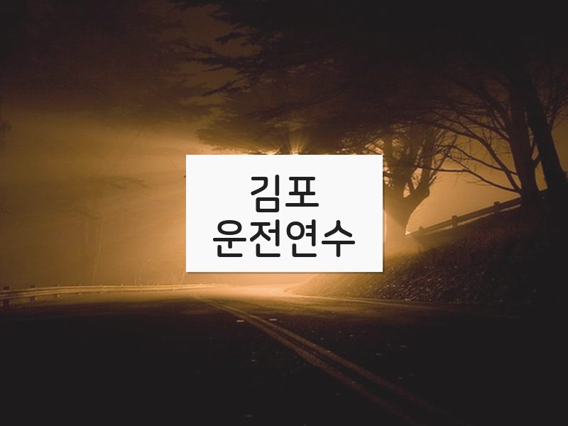 김포운전연수 후기