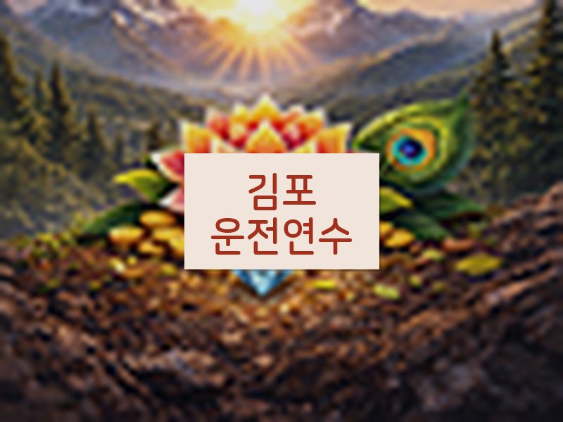 김포운전연수 후기