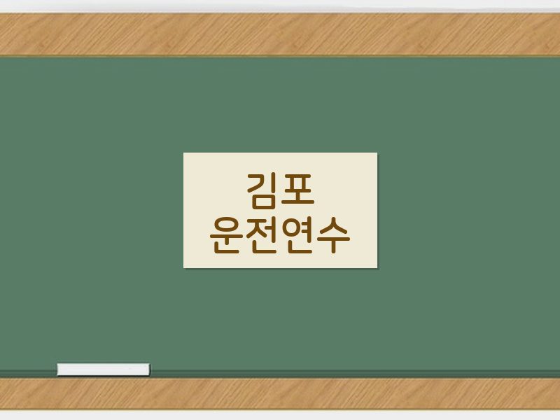 김포운전연수 후기