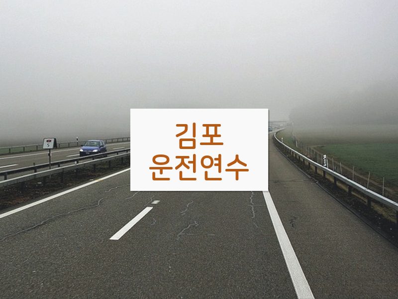 김포운전연수 후기