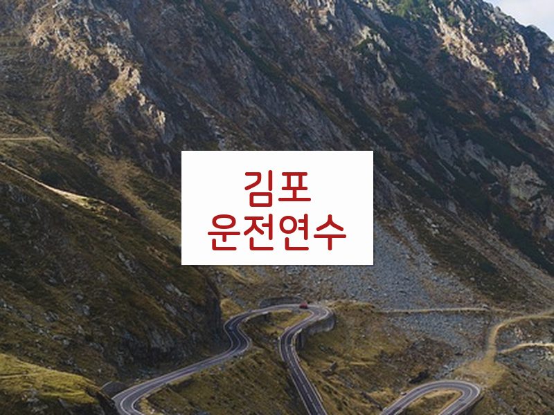 김포운전연수 후기