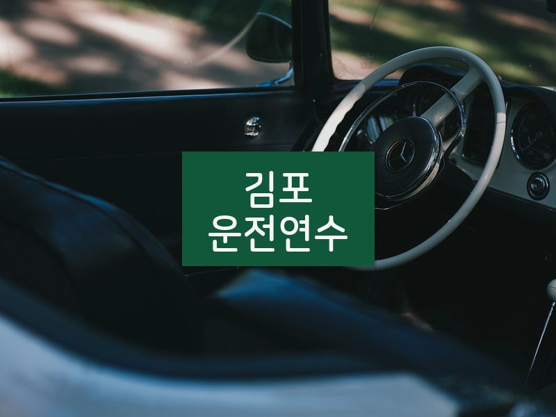 김포운전연수 후기