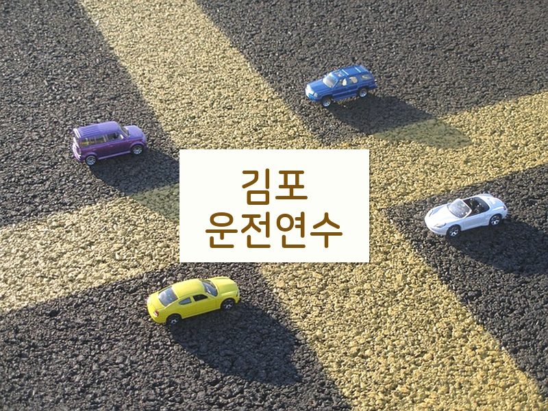 김포운전연수 후기