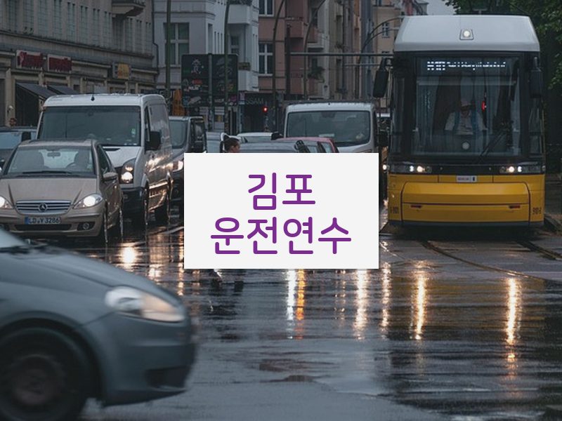김포운전연수 후기