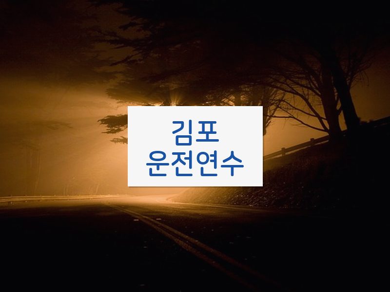 김포운전연수 후기