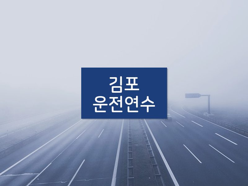 김포운전연수 후기