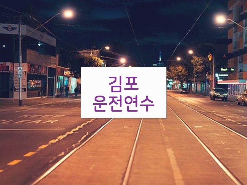 김포운전연수 후기