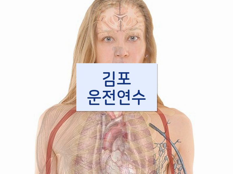 김포운전연수 후기