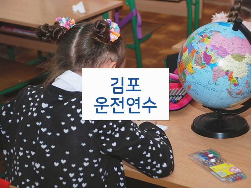 김포운전연수 후기