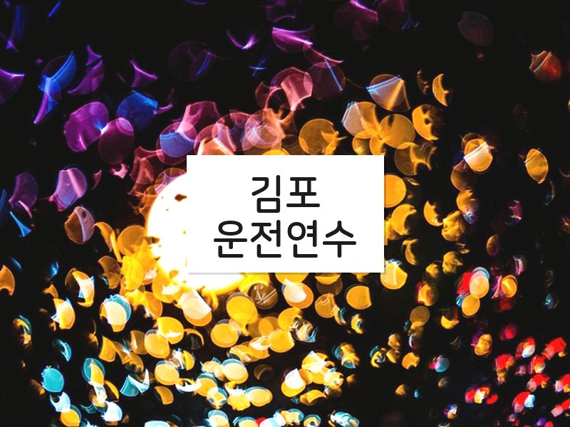 김포운전연수 후기