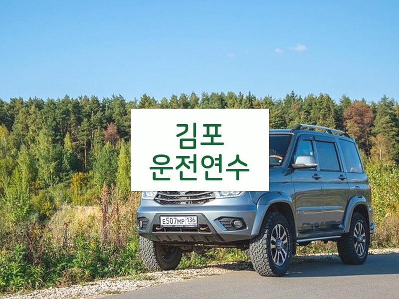 김포운전연수 후기