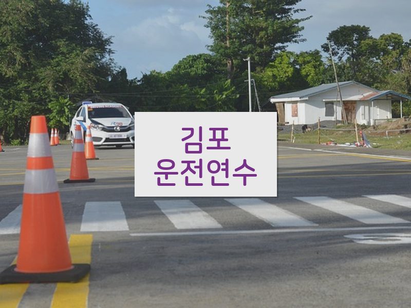 김포운전연수 후기