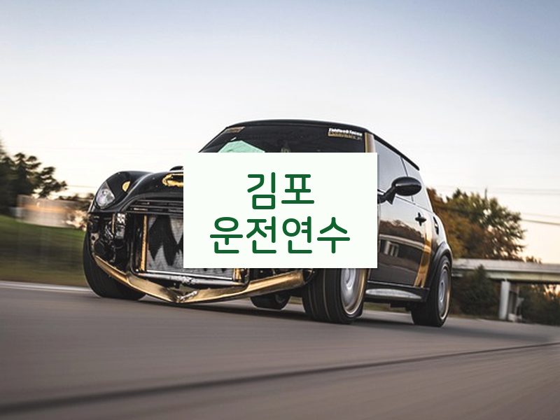 김포운전연수 후기