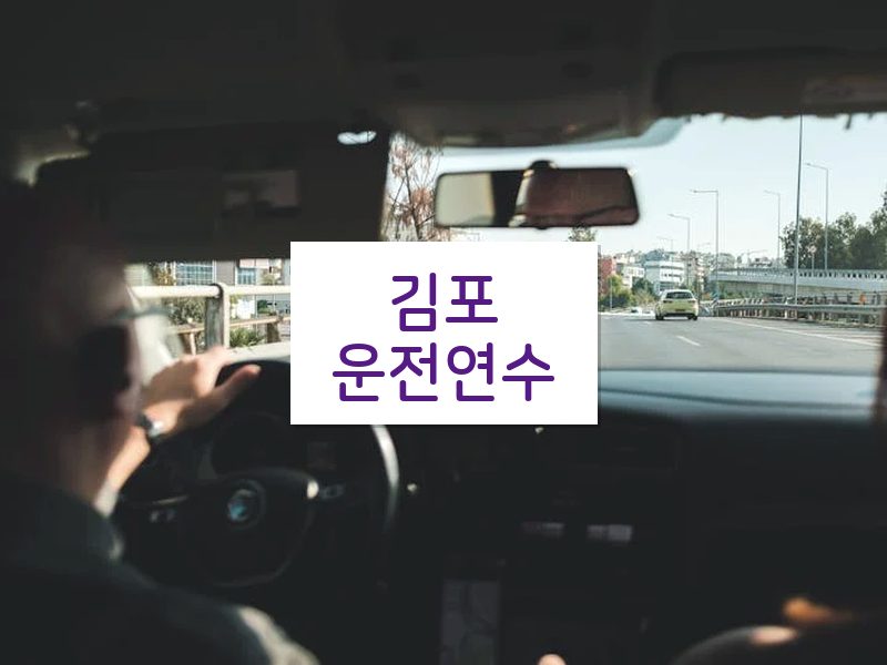 김포운전연수 후기