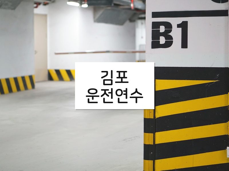 김포운전연수 후기