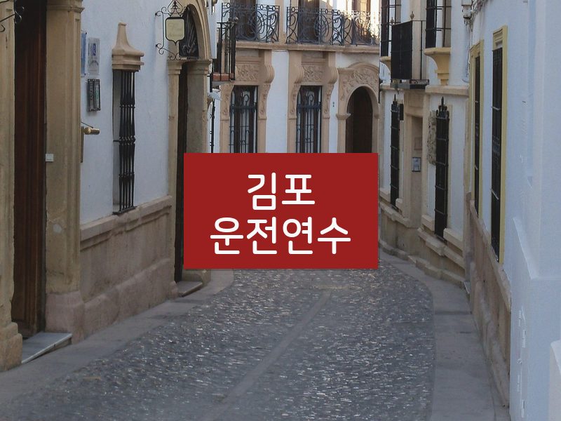 김포운전연수 후기