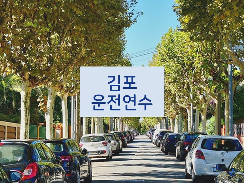 김포운전연수 후기