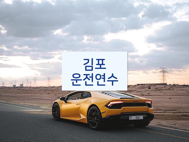 김포운전연수 후기