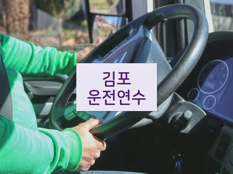 김포운전연수 후기