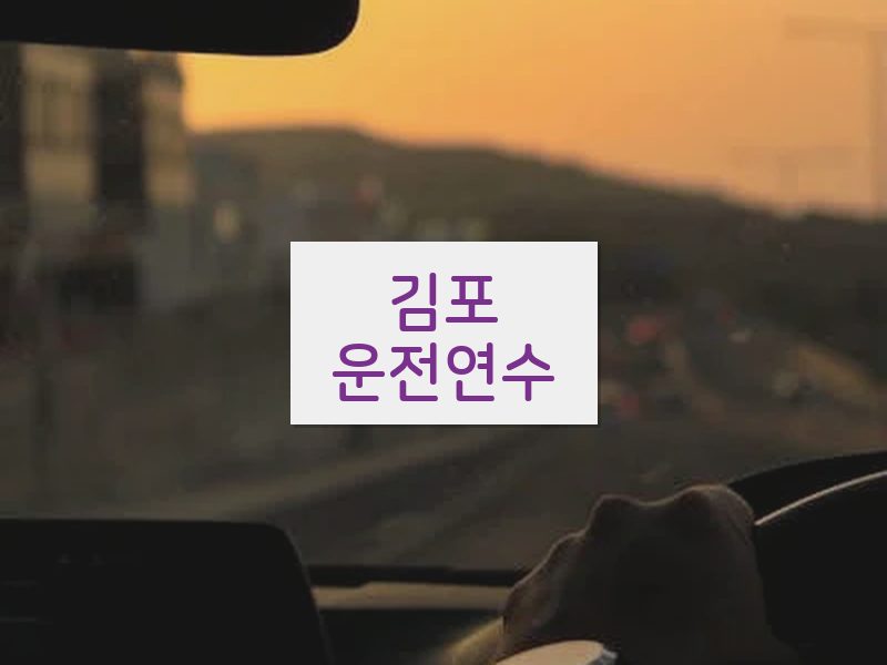 김포운전연수 후기