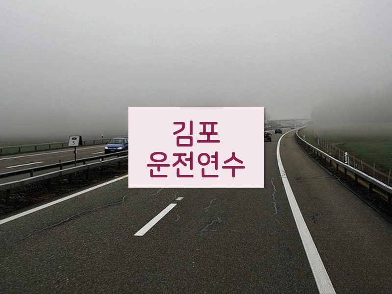 김포운전연수 후기