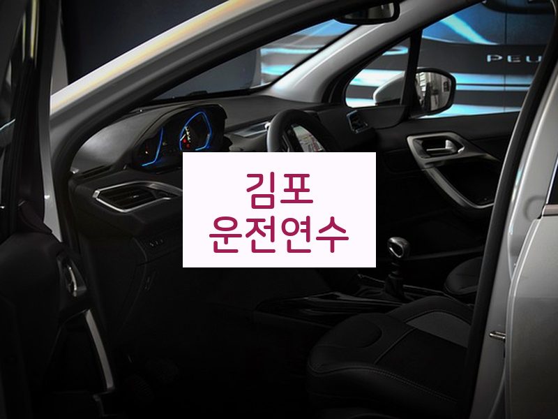 김포운전연수 후기