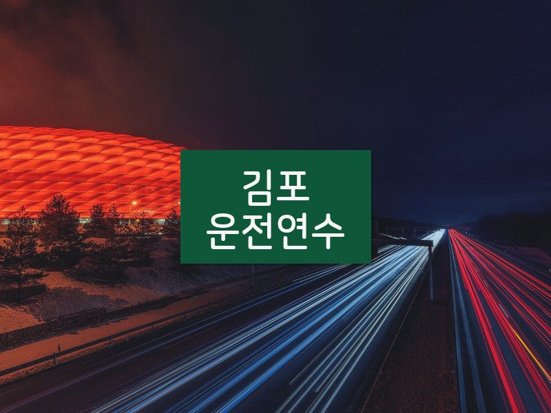 김포운전연수 후기