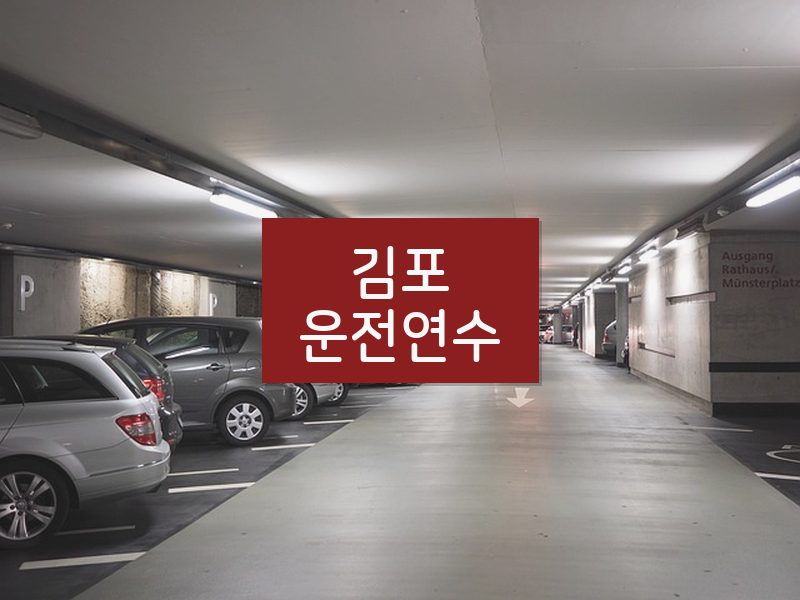 김포운전연수 후기