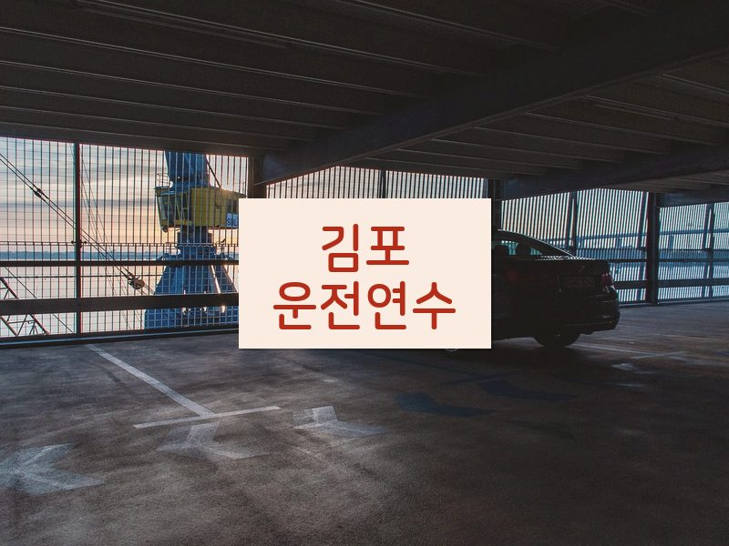 김포운전연수 후기