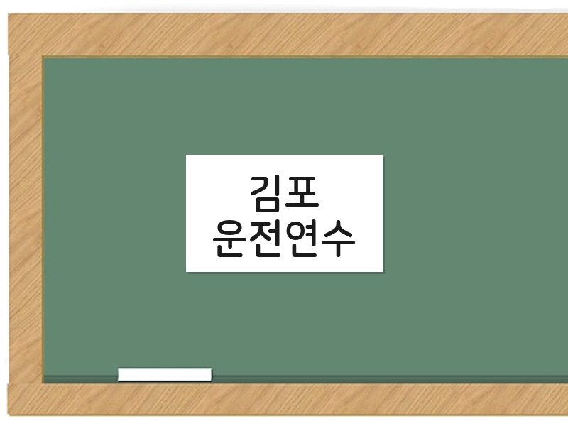 김포운전연수 후기