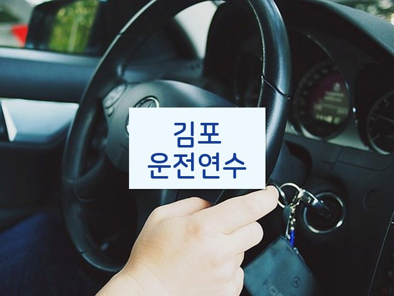 김포운전연수 후기