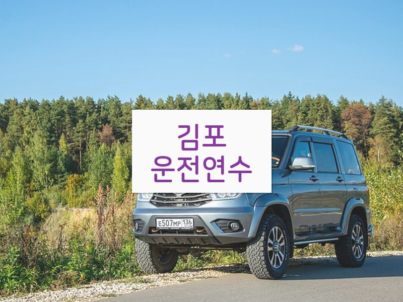김포운전연수 후기