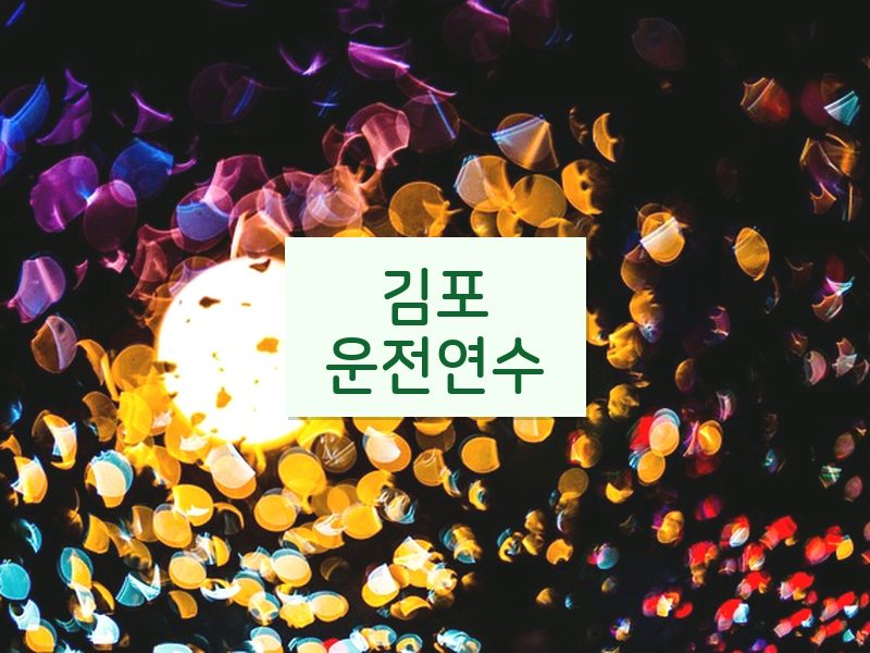 김포운전연수 후기
