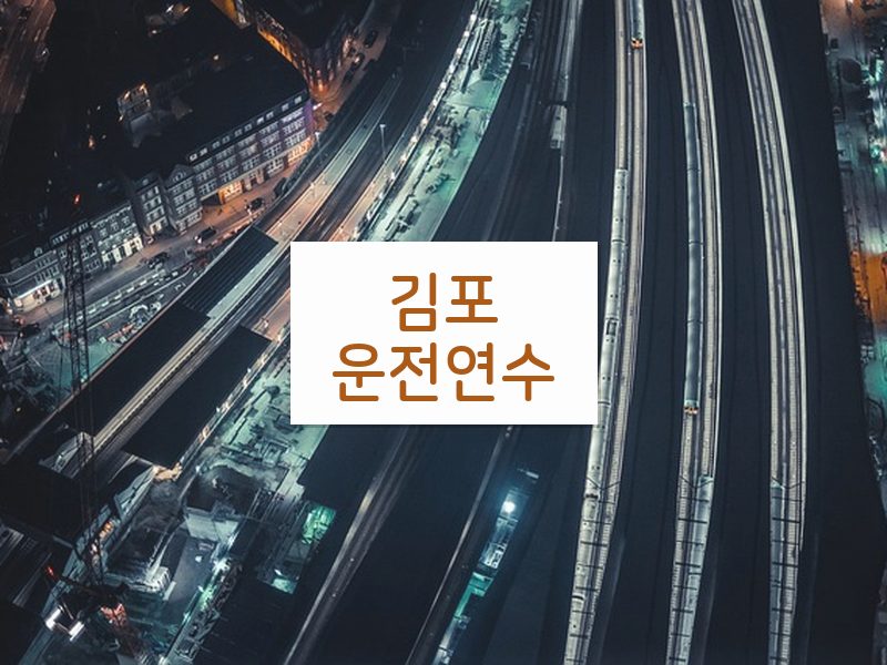 김포운전연수 후기