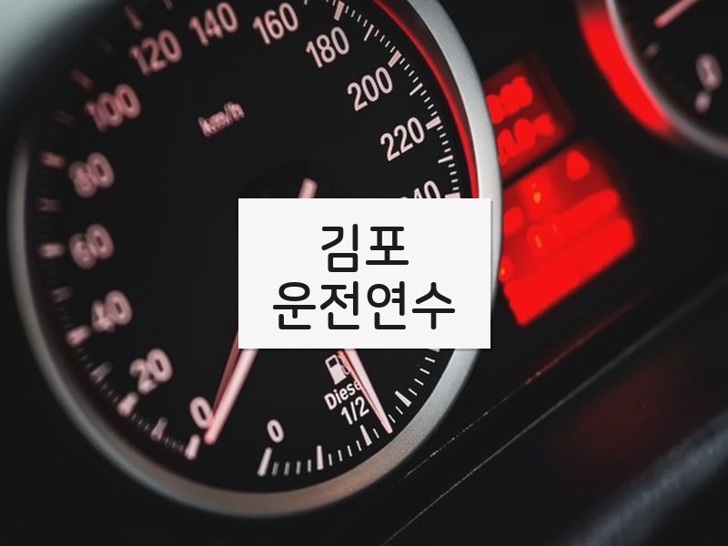 김포운전연수 후기