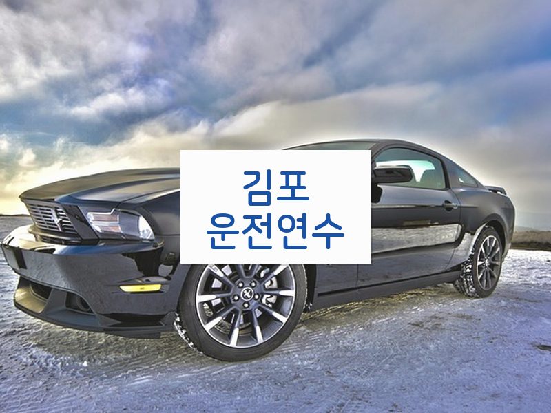 김포운전연수 후기