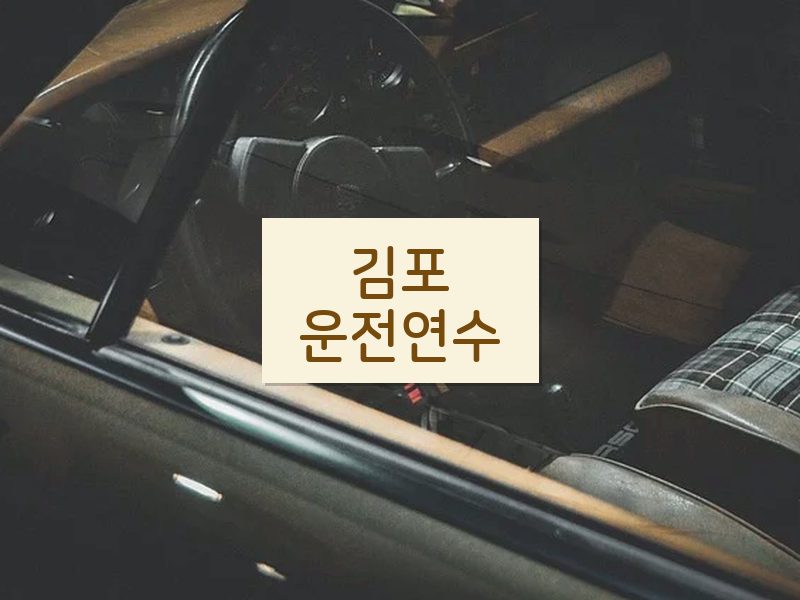 김포운전연수 후기
