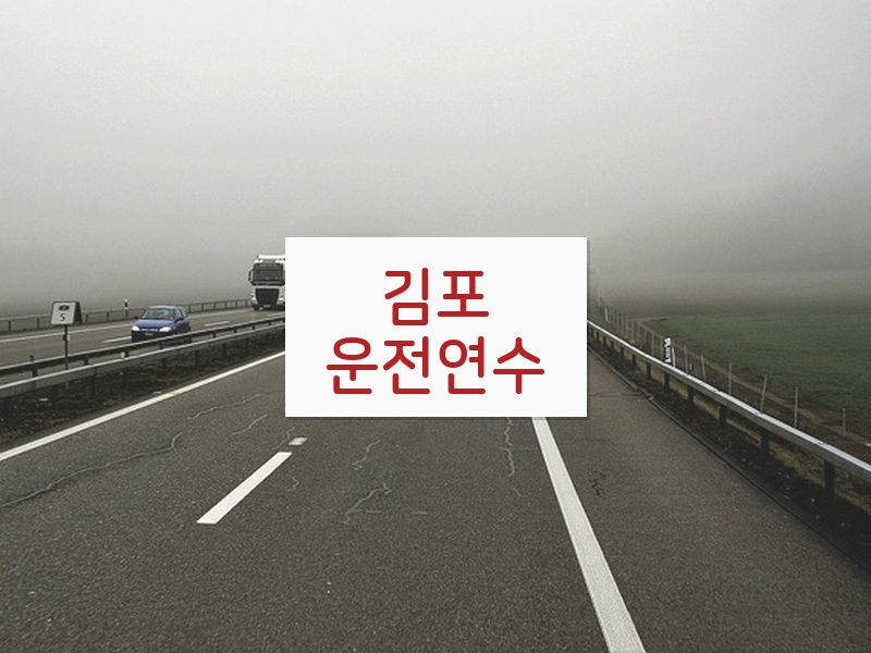 김포운전연수 후기